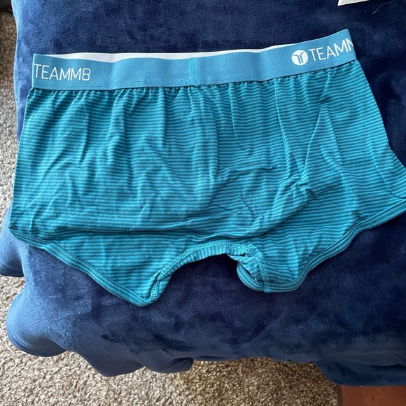 Mens Small NWT TEAMM8 Teal Super Low Stripe Boxer Brief - Picture 6 of 9
